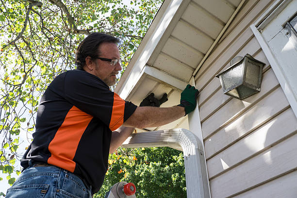 Trusted West Hollywood, CA Siding Installation & Repair Experts